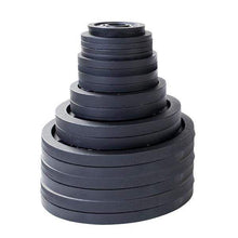 Load image into Gallery viewer, 455lb. Cast Iron Olympic Plate Set Weight Training Plate Set - The Home Fitness Corp