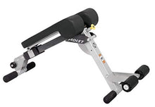 Load image into Gallery viewer, HOIST Fitness HF-4263 Dual Adjustable Ab/Back Hyper Roman Chair Exercise Bench - Platinum
