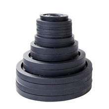 Load image into Gallery viewer, 355lb. Cast Iron Olympic Plate Set Weight Training Plate Set - The Home Fitness Corp
